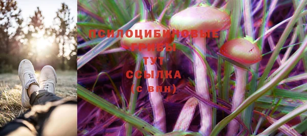 твердый Белоозёрский