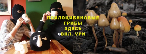 mdpv Белокуриха