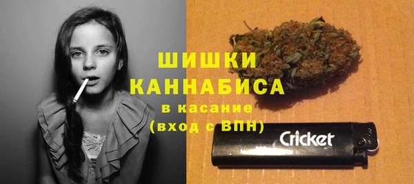 mdpv Белокуриха