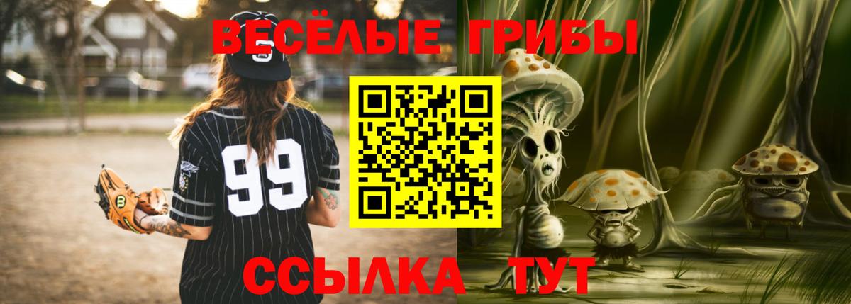 Галлюциногенные грибы мицелий Губкинский